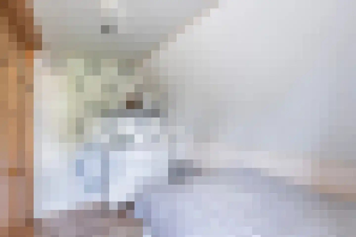 Luukmanserf 1 Dalfsen thumbnail 21