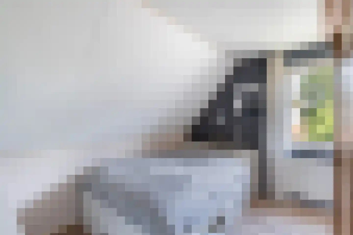 Luukmanserf 1 Dalfsen thumbnail 21