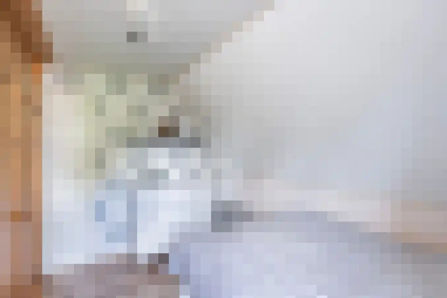Luukmanserf 1 Dalfsen thumbnail 22