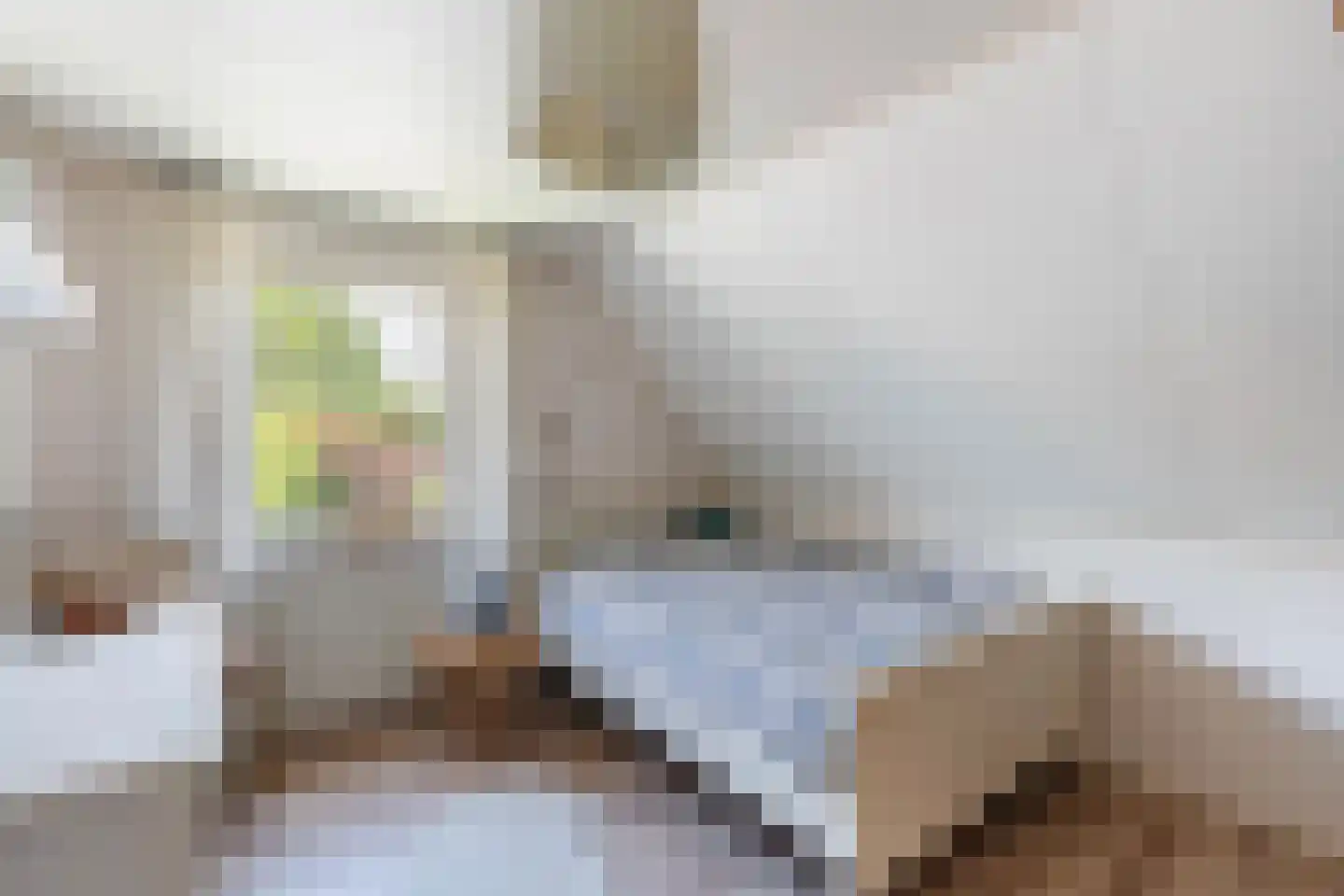 Luukmanserf 1 Dalfsen thumbnail 23