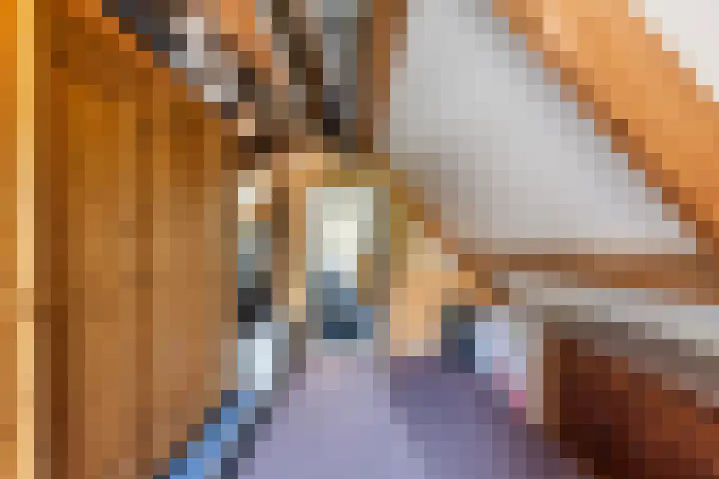 Luukmanserf 1 Dalfsen thumbnail 28