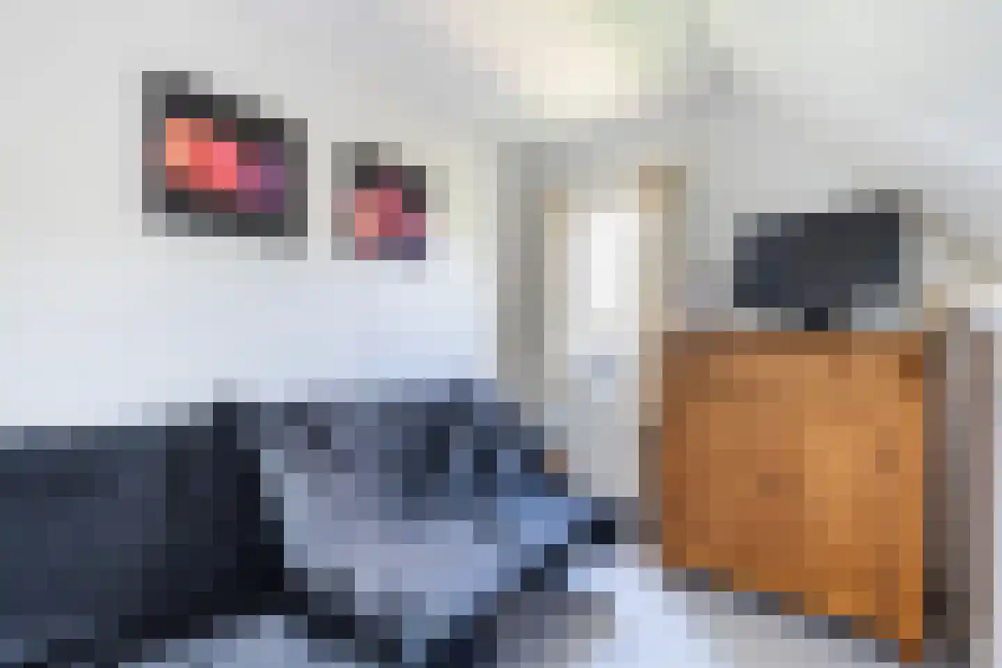 Luukmanserf 1 Dalfsen thumbnail 29