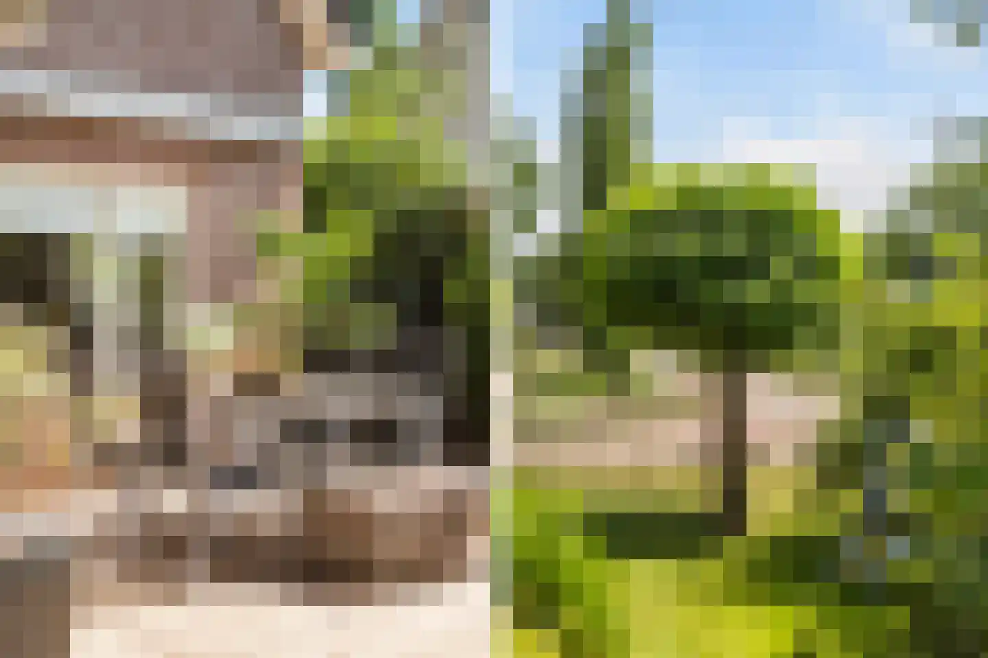 Luukmanserf 1 Dalfsen foto 3