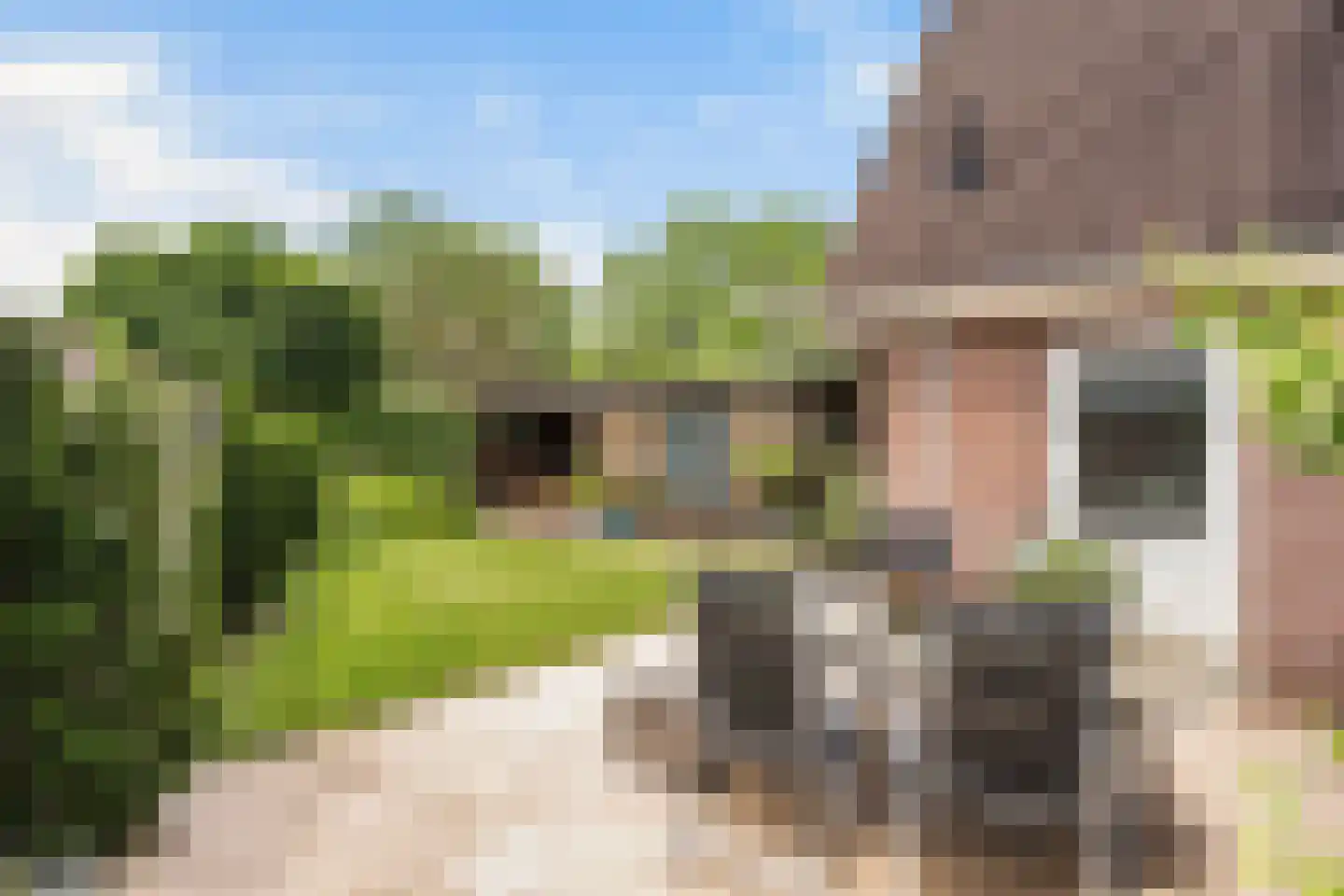 Luukmanserf 1 Dalfsen thumbnail 30