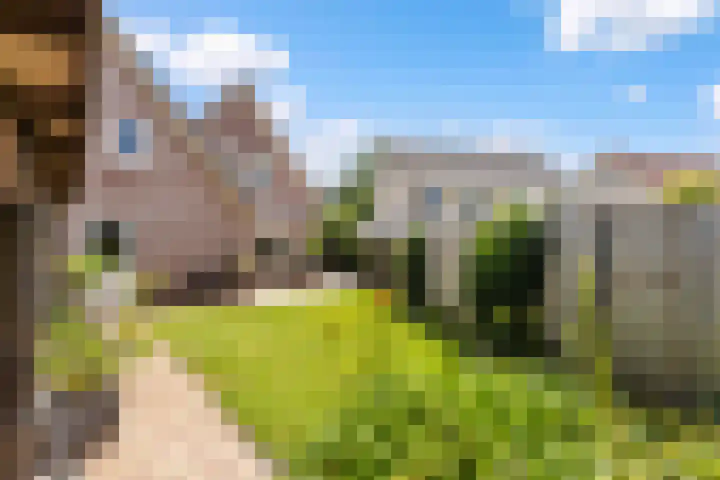 Luukmanserf 1 Dalfsen thumbnail 31