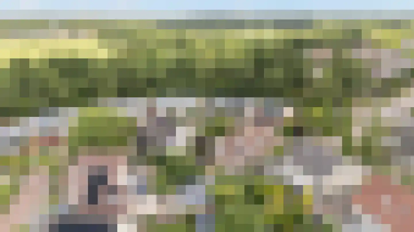 Luukmanserf 1 Dalfsen thumbnail 35