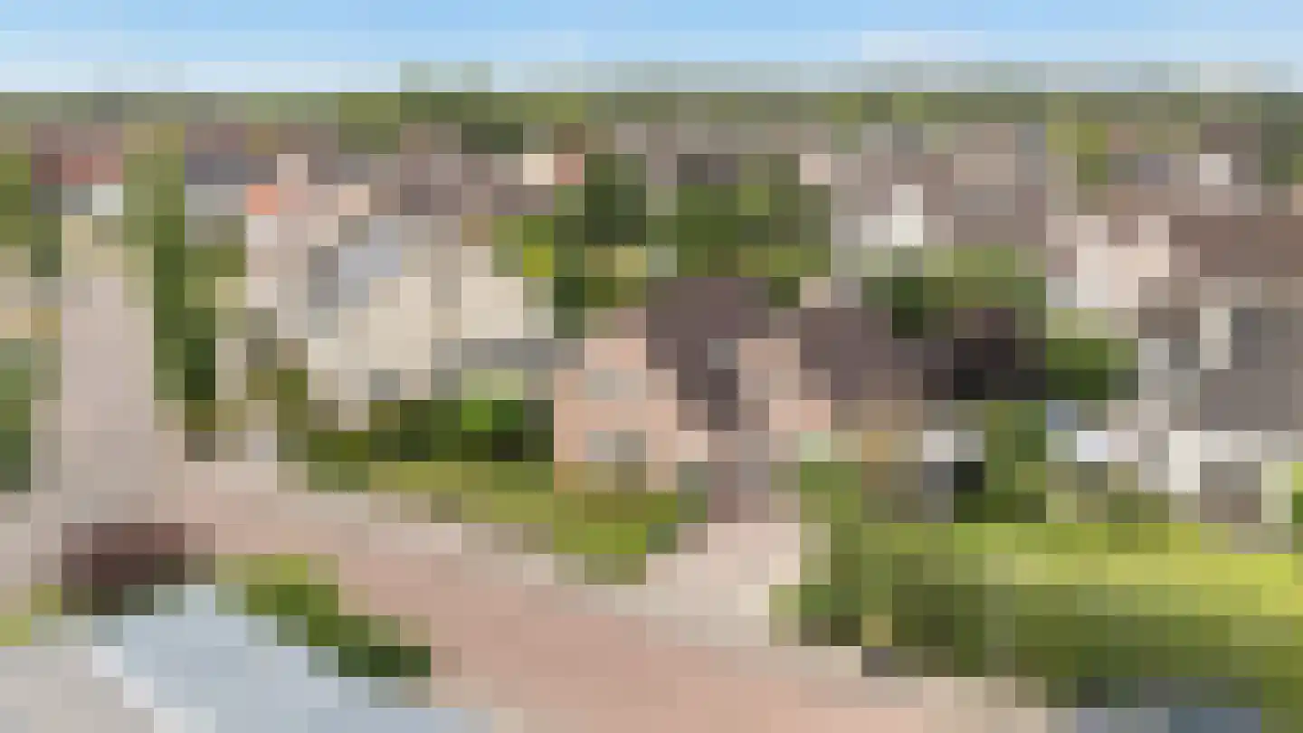 Luukmanserf 1 Dalfsen thumbnail 4