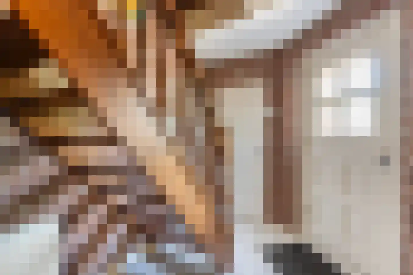 Luukmanserf 1 Dalfsen thumbnail 6