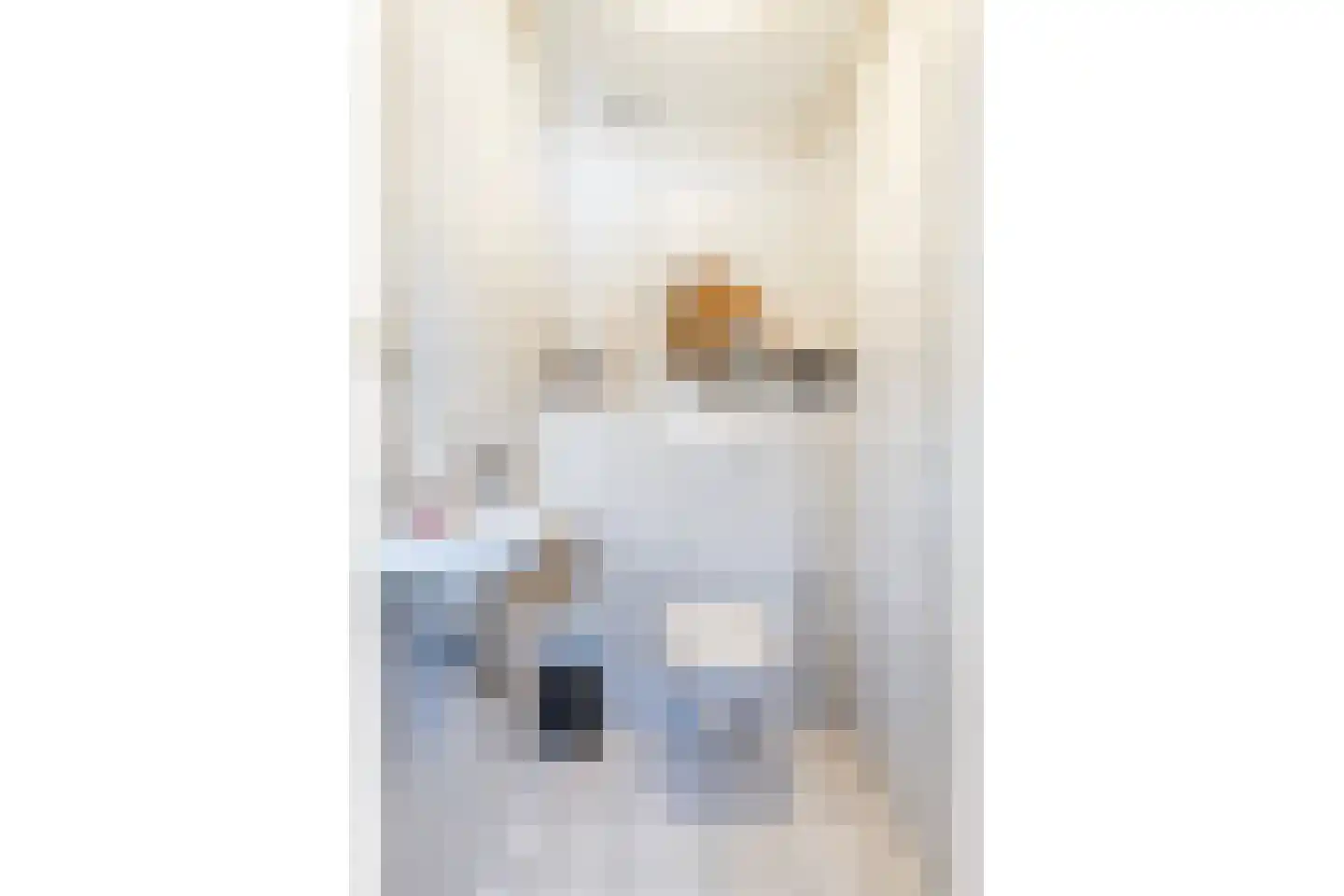 Luukmanserf 1 Dalfsen thumbnail 8