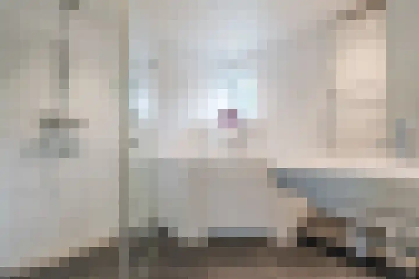 Luukmanserf 42 Dalfsen thumbnail 23