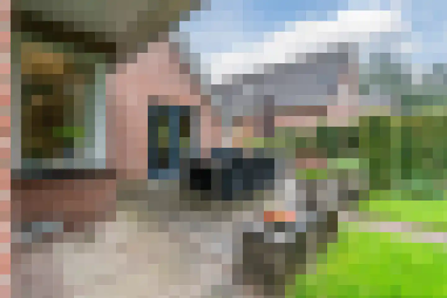 Luukmanserf 42 Dalfsen thumbnail 43