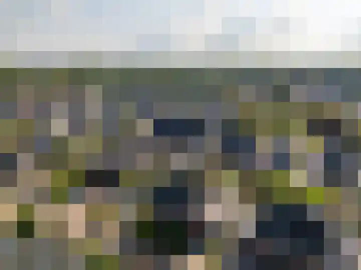 Luunhorststraat 13 Eefde thumbnail 30