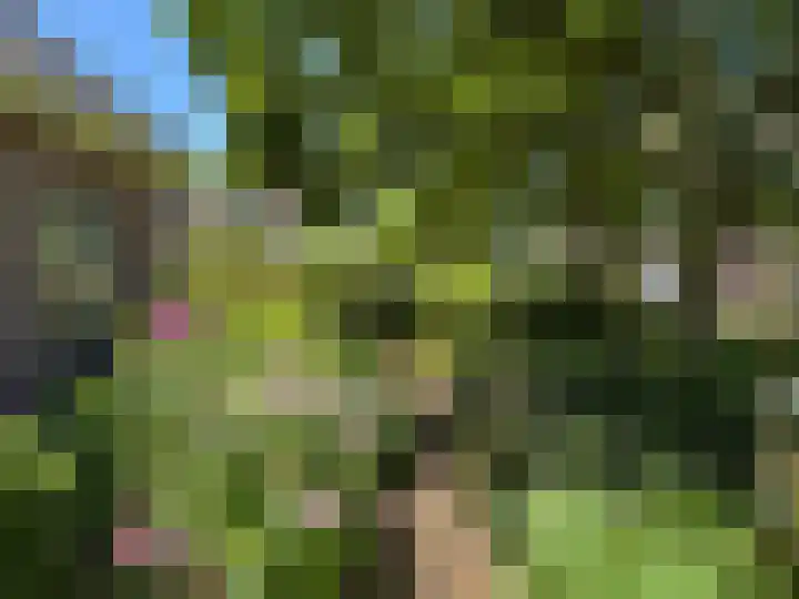 Luunkamp 14 Dalen thumbnail 10