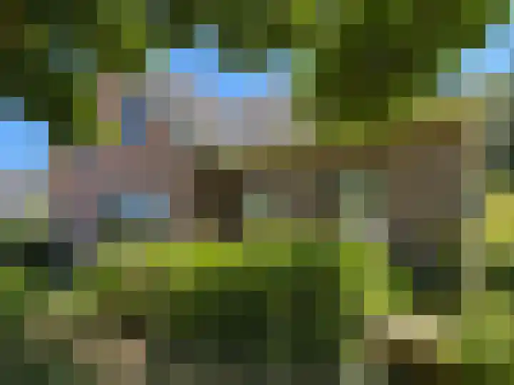 Luunkamp 14 Dalen thumbnail 11
