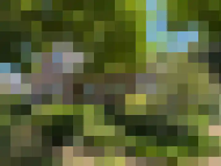 Luunkamp 14 Dalen thumbnail 12