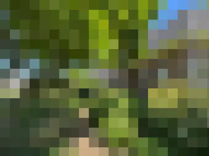 Luunkamp 14 Dalen thumbnail 13