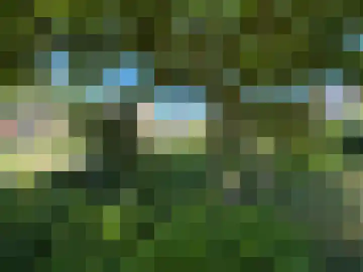 Luunkamp 14 Dalen thumbnail 14