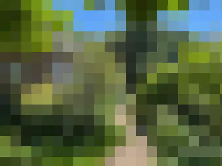 Luunkamp 14 Dalen thumbnail 15