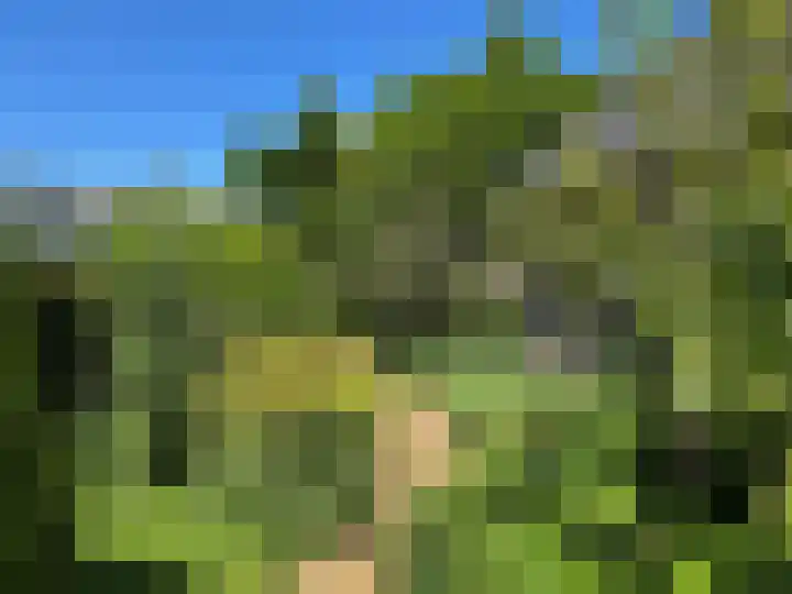 Luunkamp 14 Dalen thumbnail 16