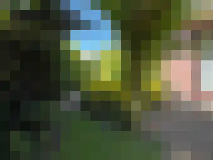 Luunkamp 14 Dalen thumbnail 17