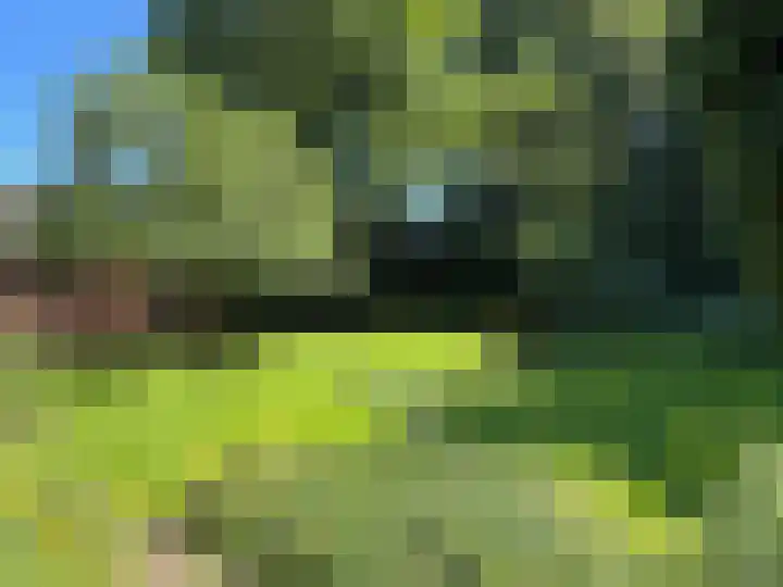 Luunkamp 14 Dalen thumbnail 18