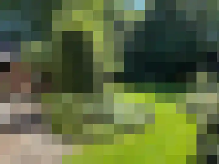 Luunkamp 14 Dalen thumbnail 19