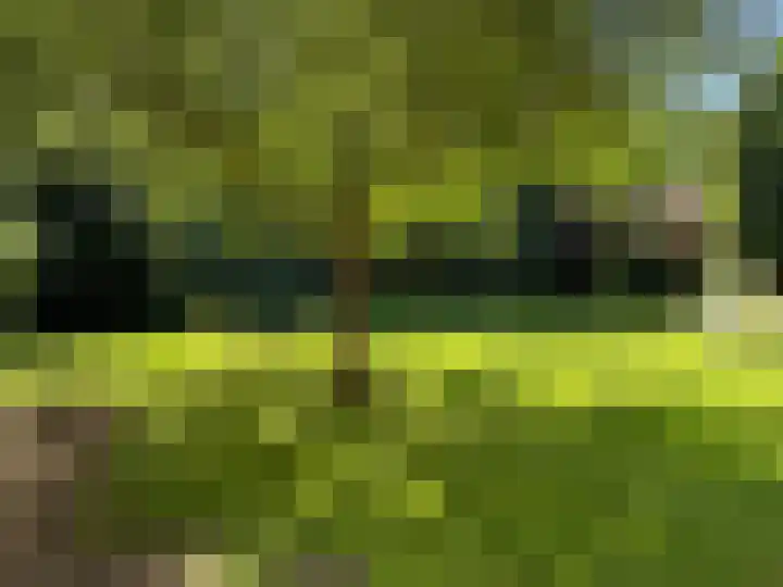 Luunkamp 14 Dalen thumbnail 20