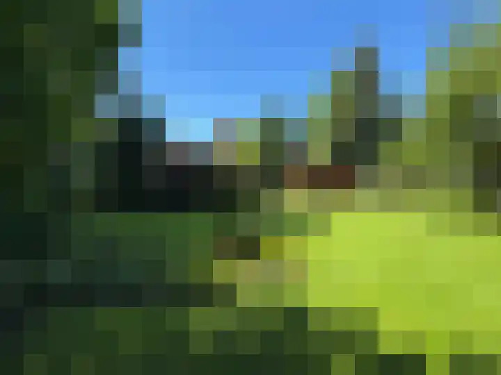 Luunkamp 14 Dalen thumbnail 21