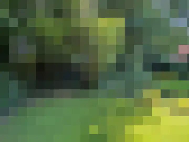 Luunkamp 14 Dalen thumbnail 22