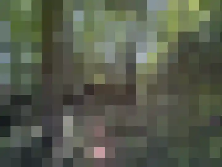 Luunkamp 14 Dalen thumbnail 23
