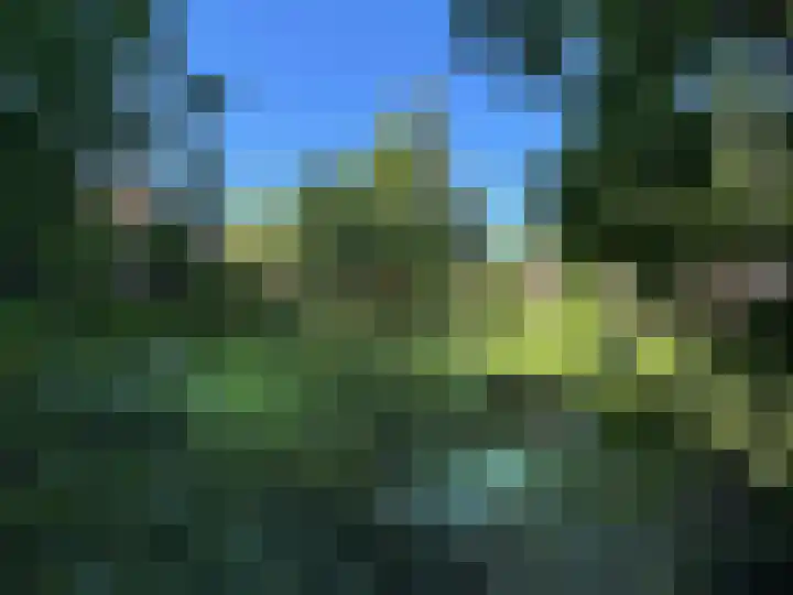 Luunkamp 14 Dalen thumbnail 24