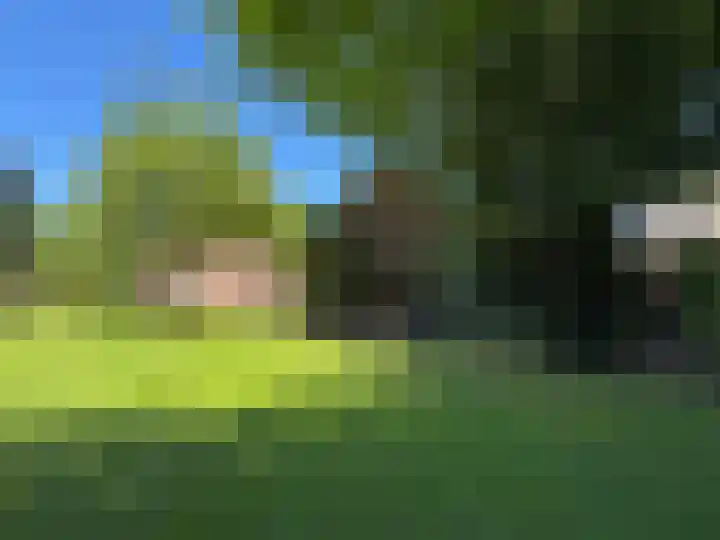Luunkamp 14 Dalen thumbnail 25