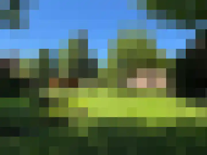 Luunkamp 14 Dalen thumbnail 26