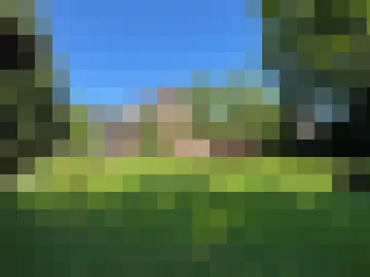 Luunkamp 14 Dalen thumbnail 27