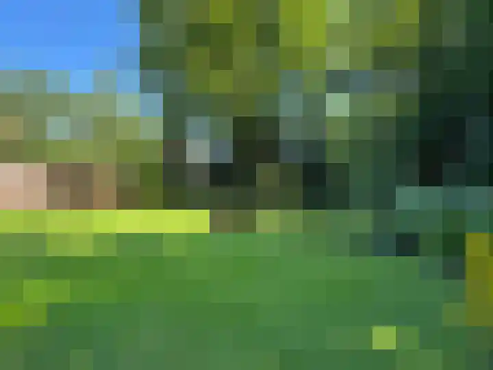 Luunkamp 14 Dalen thumbnail 28
