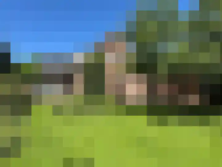 Luunkamp 14 Dalen thumbnail 29