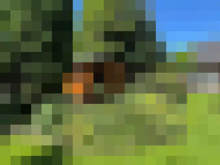 Luunkamp 14 Dalen thumbnail 30
