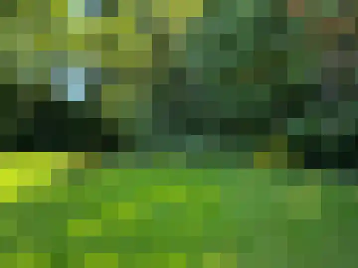 Luunkamp 14 Dalen thumbnail 31