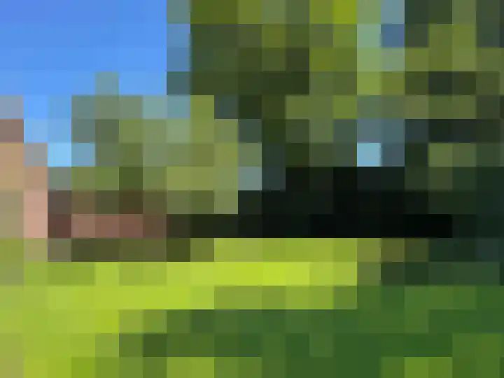 Luunkamp 14 Dalen thumbnail 32