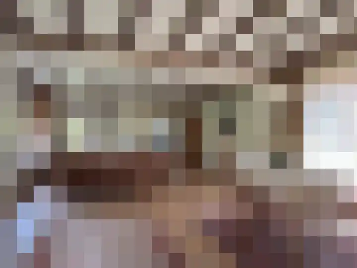 Luunkamp 14 Dalen thumbnail 33