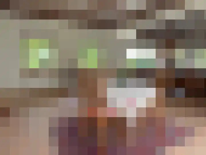 Luunkamp 14 Dalen thumbnail 34