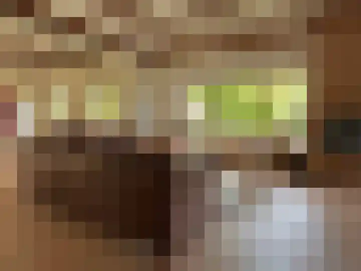 Luunkamp 14 Dalen thumbnail 36