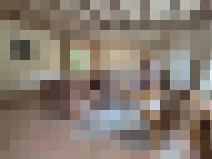 Luunkamp 14 Dalen thumbnail 37