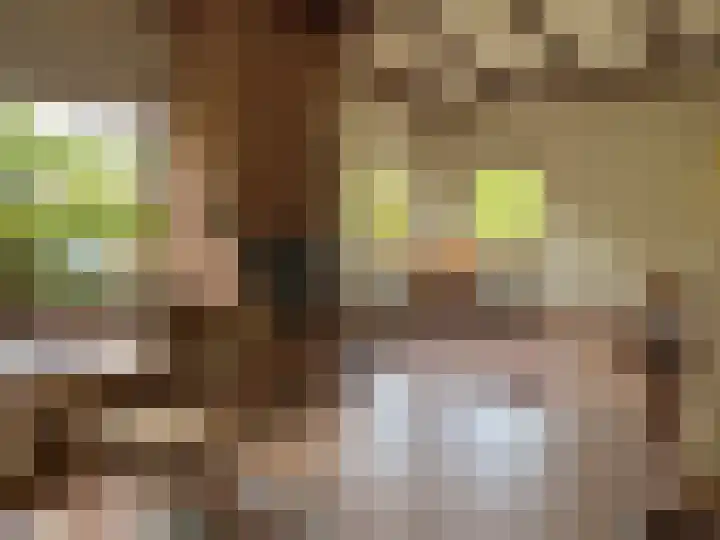 Luunkamp 14 Dalen thumbnail 38
