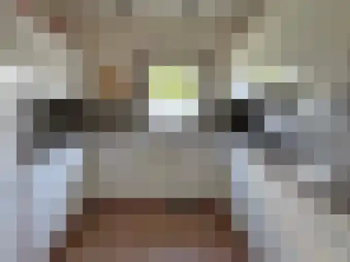 Luunkamp 14 Dalen thumbnail 39