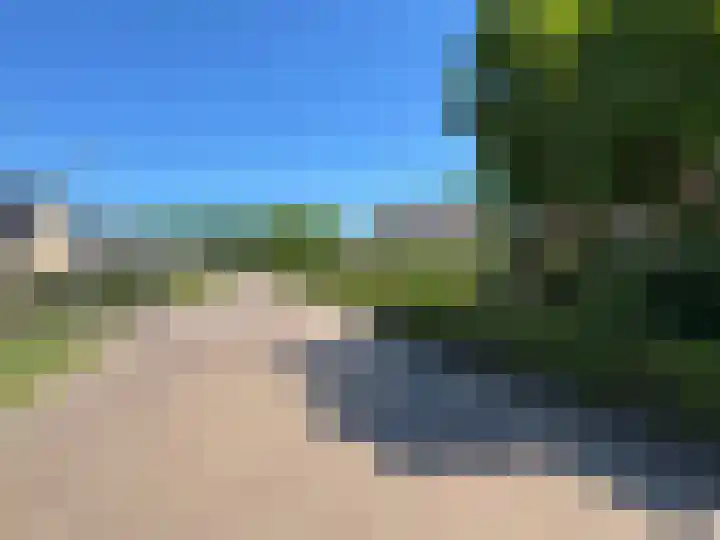 Luunkamp 14 Dalen thumbnail 4
