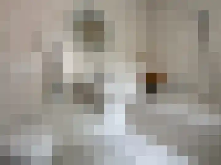 Luunkamp 14 Dalen thumbnail 43