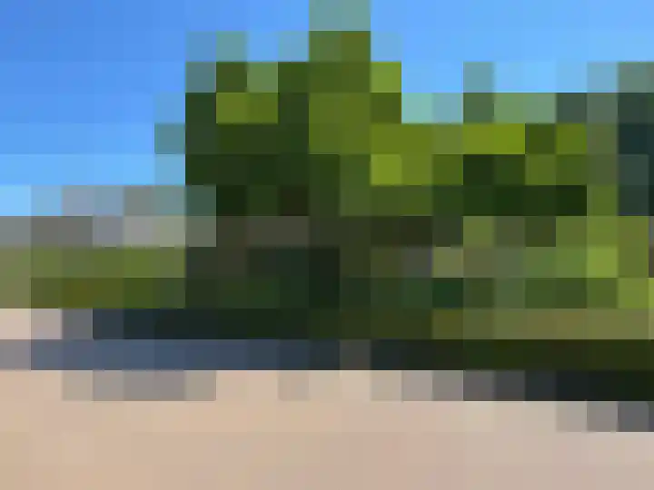 Luunkamp 14 Dalen thumbnail 6
