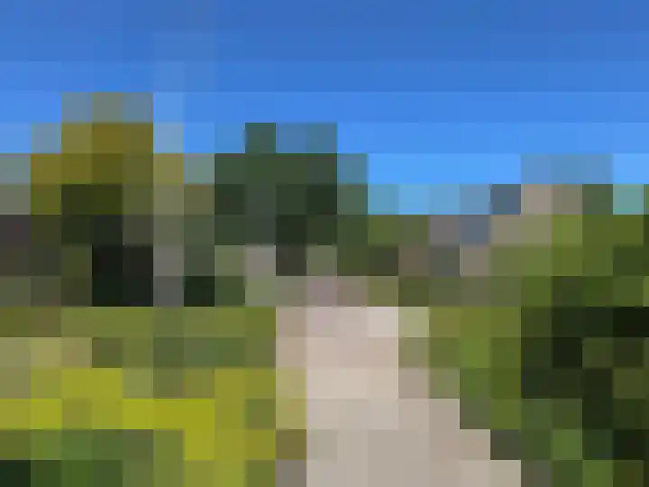 Luunkamp 14 Dalen thumbnail 7