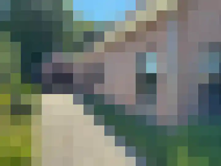 Luunkamp 14 Dalen thumbnail 8